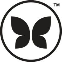 the honest company