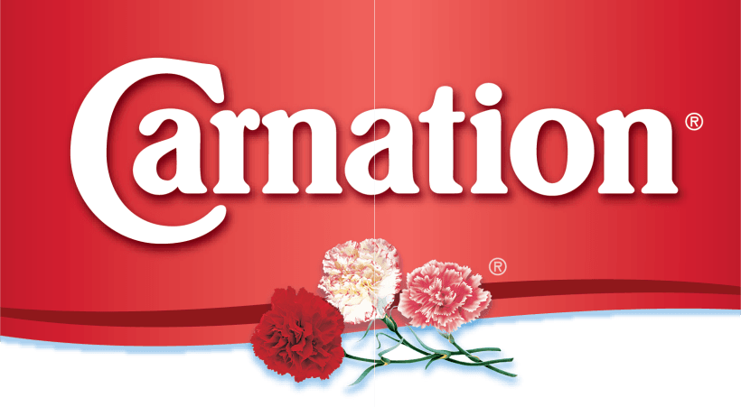 carnation
