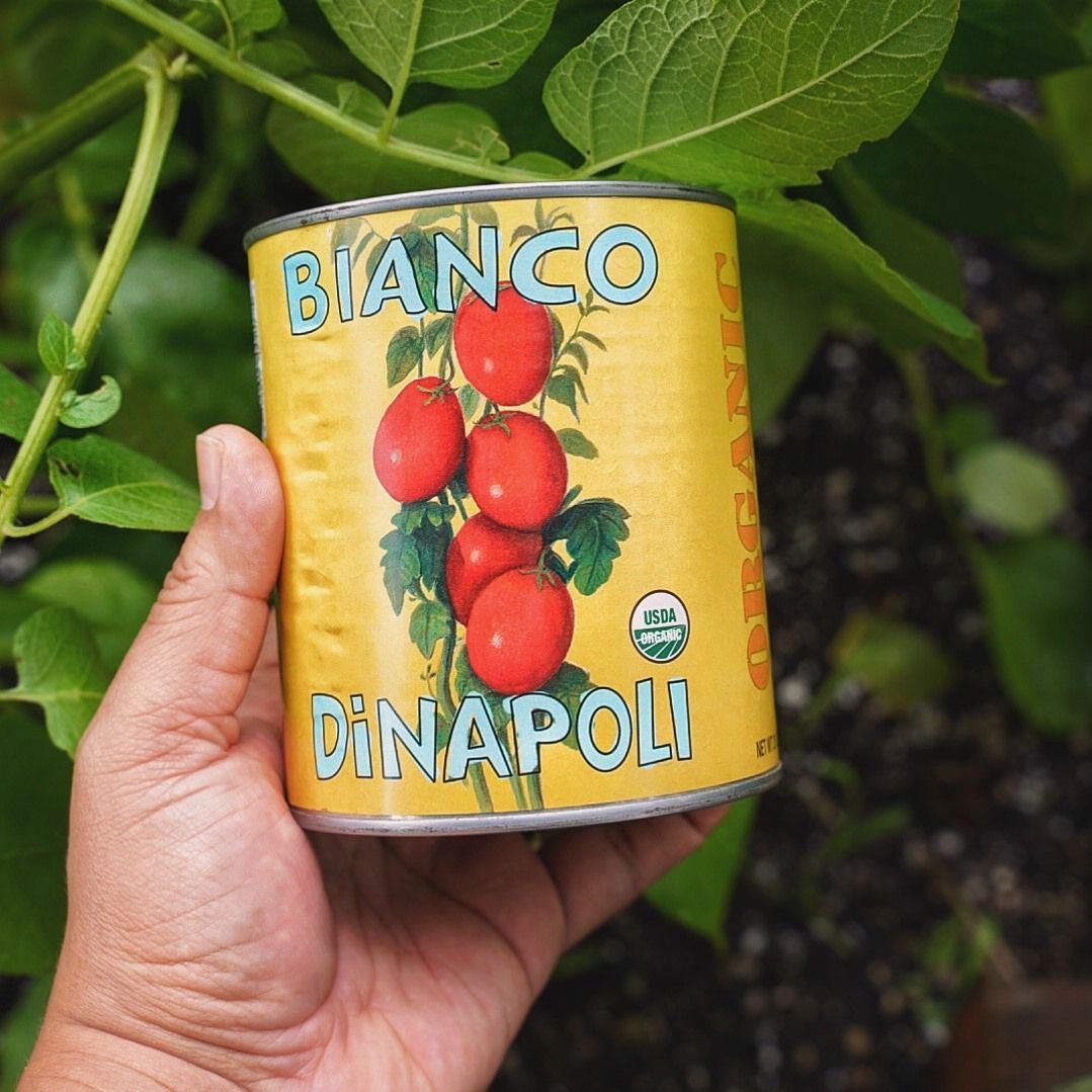 dinapoli
