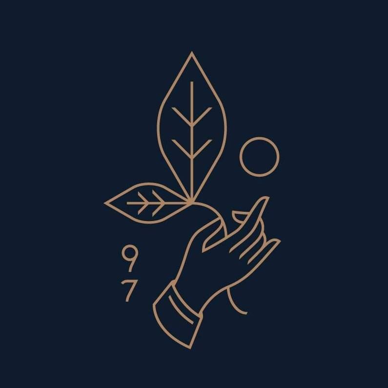 rishi tea & botanicals
