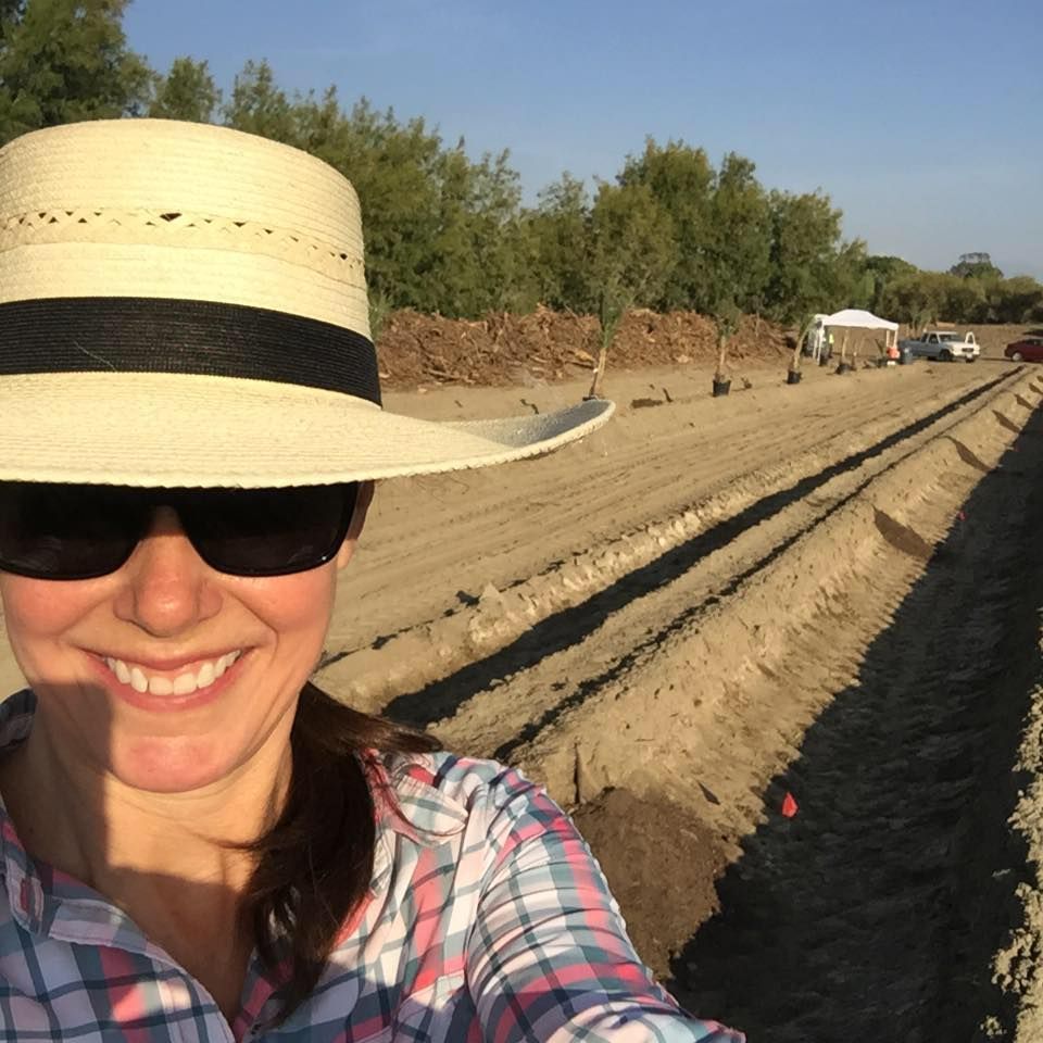 rancho meladuco date farm