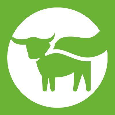 beyond meat